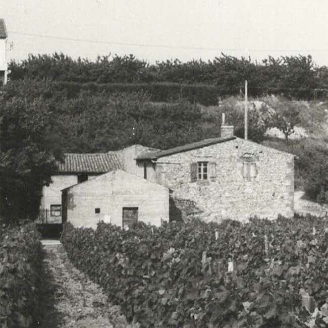 ferme saint jaimes genealogie domaine les 4 vents