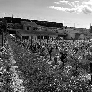 cave genealogie domaine les 4 vents