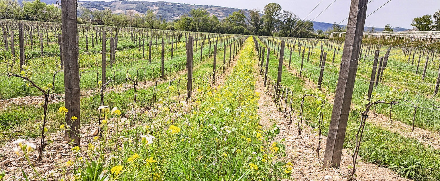 photo adaptation changement climatiques philosophie domaine les 4 vents