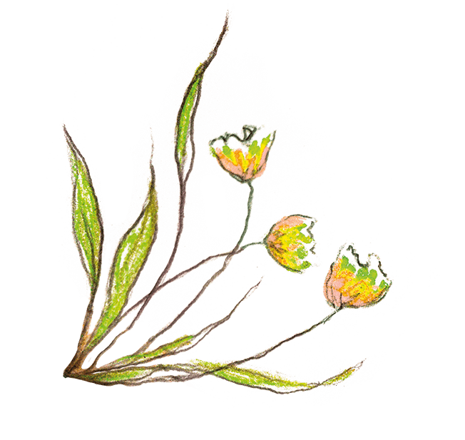 symbole vin les pitchounettes blanc