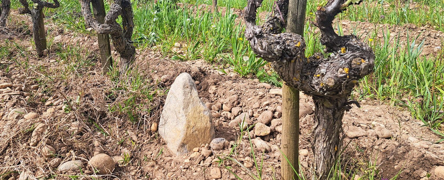 energies du sol : le vin du domaine les 4 vents