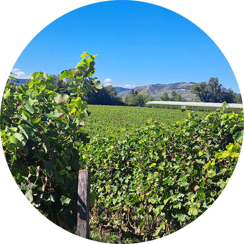 photo saint jaimes nord domaine les 4 vents