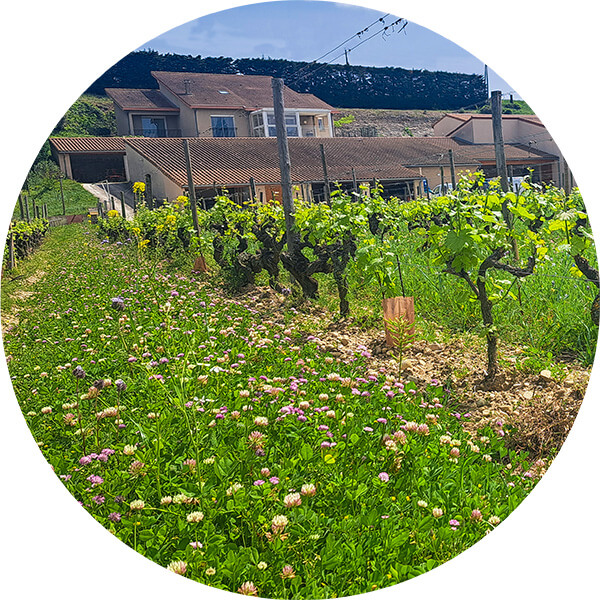 photo saint jaimes sud domaine les 4 vents