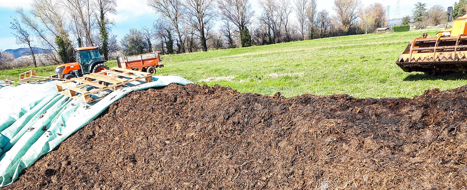 symbiose avec environnement