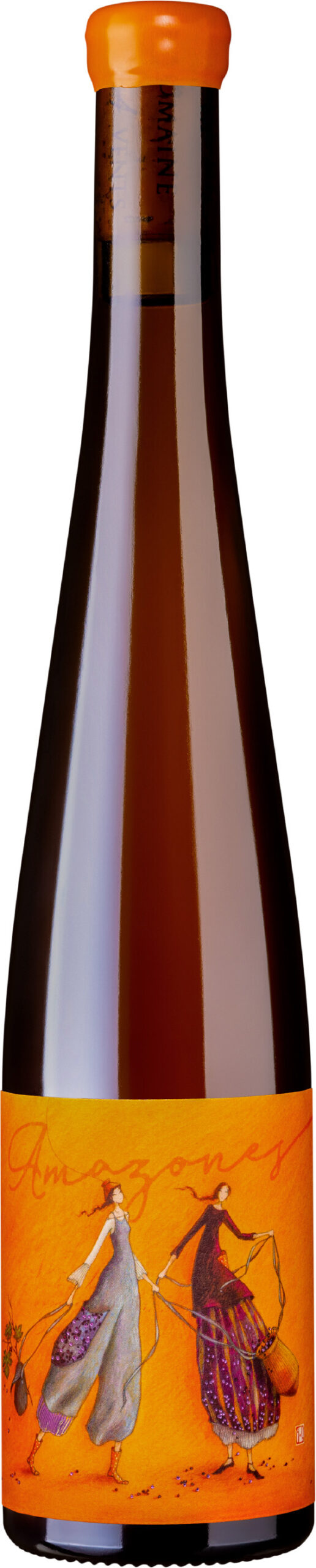 bouteille vin domaine les 4 vents amazones