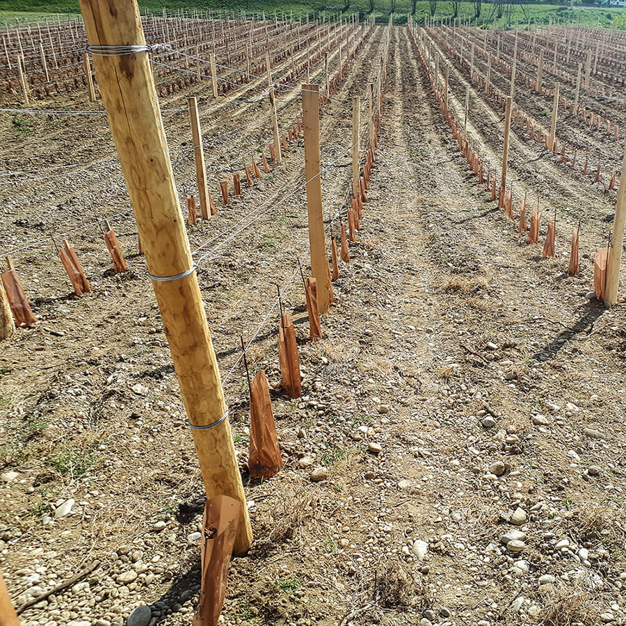 automne repos hivernal