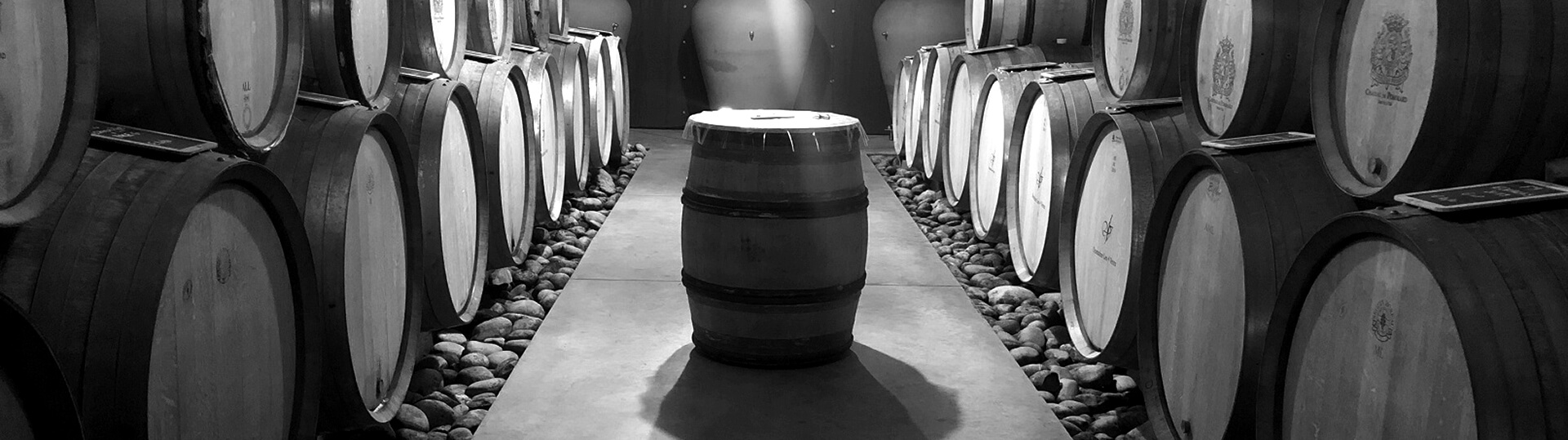 exportation professionnel vin domaine les 4 vents