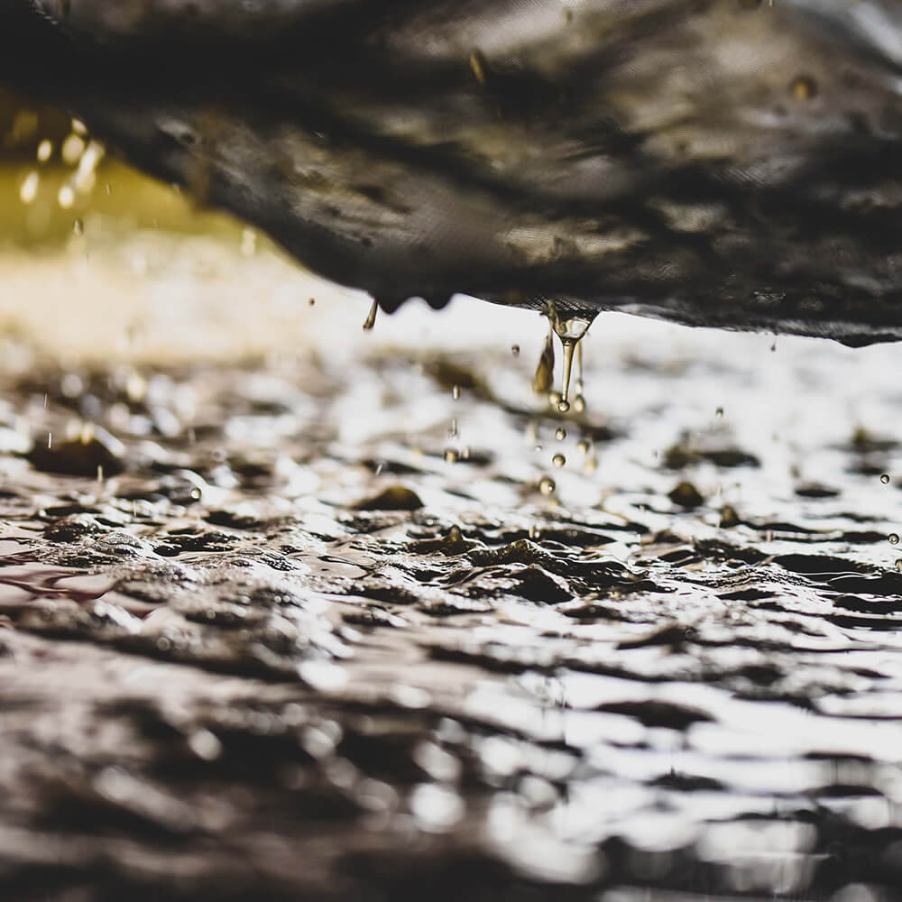 encuvage cave domaine les 4 vents