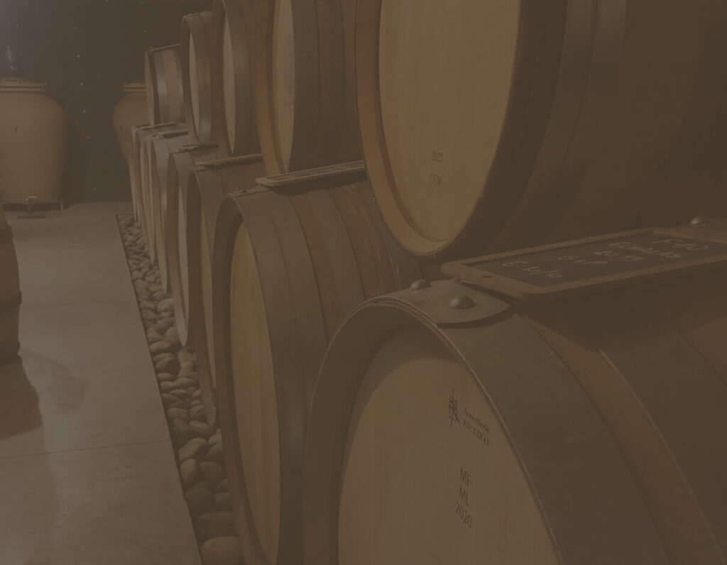 la cave du domaine les 4 vents