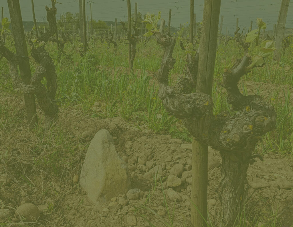 la philosophie du domaine les 4 vents