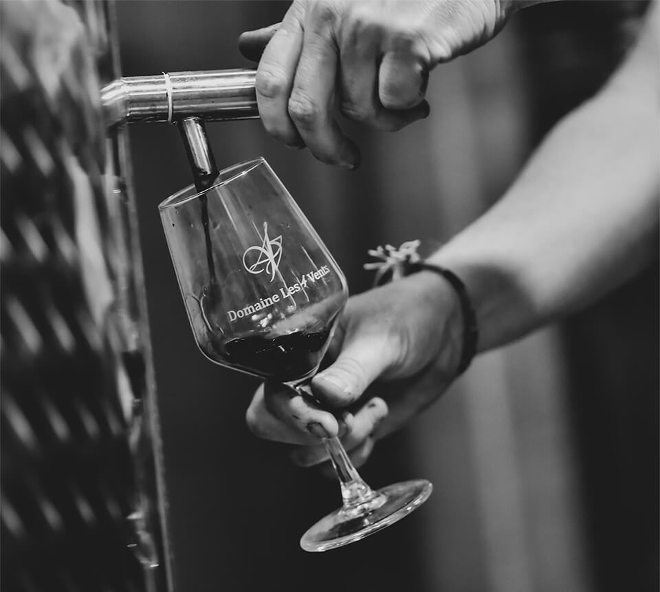 visite cave domaine les 4 vents