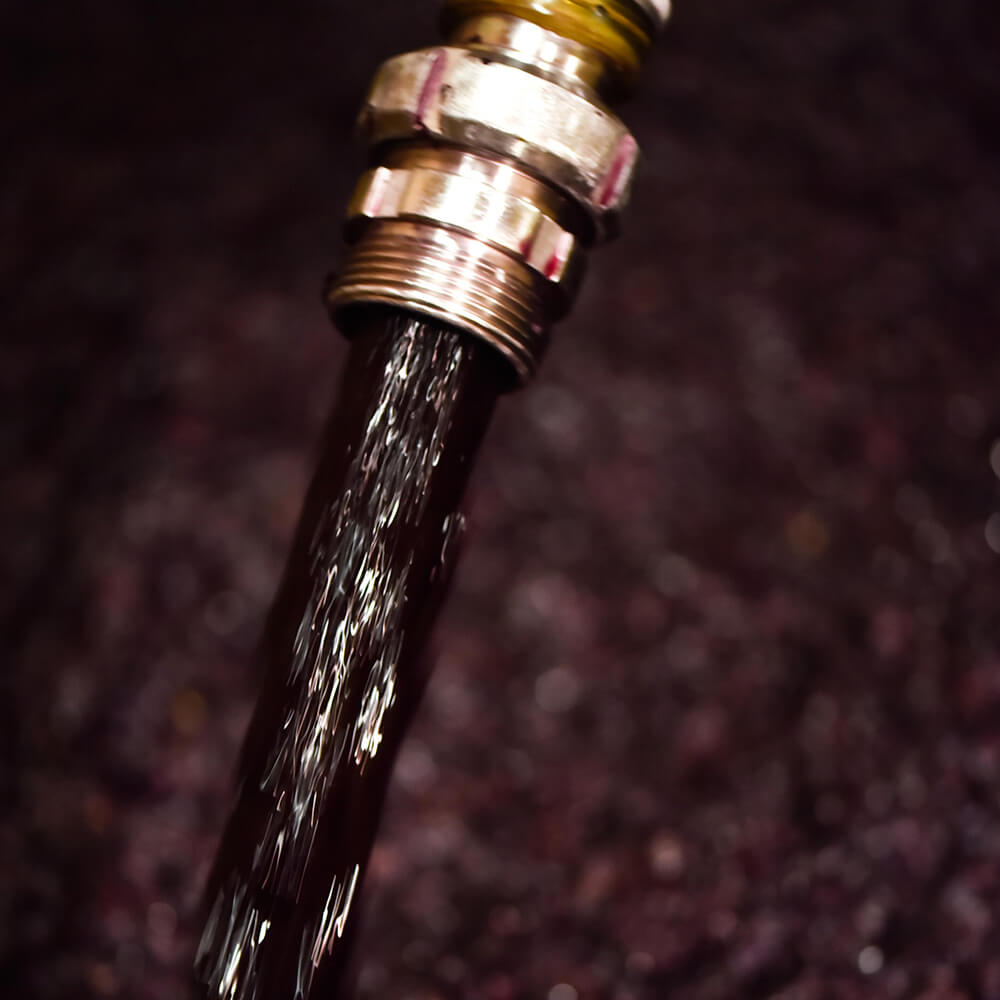 vinifications domaine les 4 vents