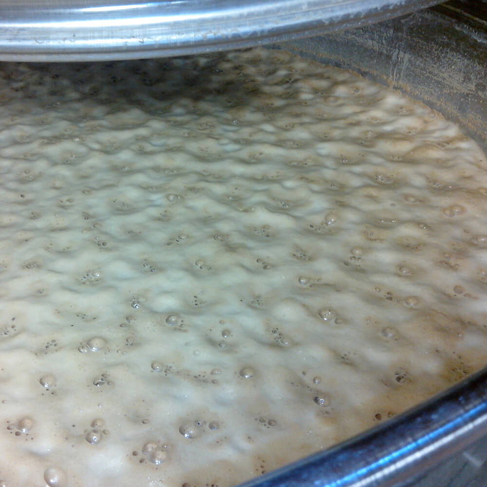 vinifications domaine les 4 vents