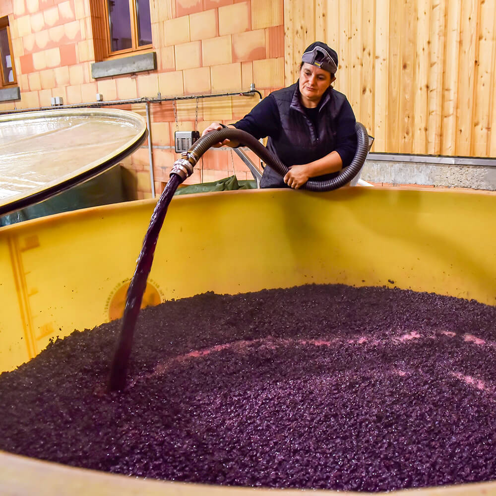 remontage cuve domaine les 4 vents